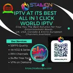Main Stallioniptv.webp