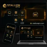 stallion 2.webp