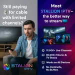 Stallion FB ADD 1.webp