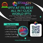 1780236610871_Main_Stallioniptv.com.webp