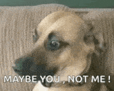 1787779069964.gif
