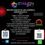 stallioniptv.pw.0.png