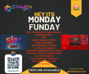 Stallion Monday.png
