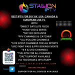 Stallioniptv.com1.png