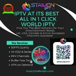 Main Stallioniptv.com.webp