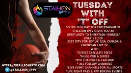 Tuesday Stallioniptv.com.webp