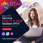 stallioniptv.3 2.webp